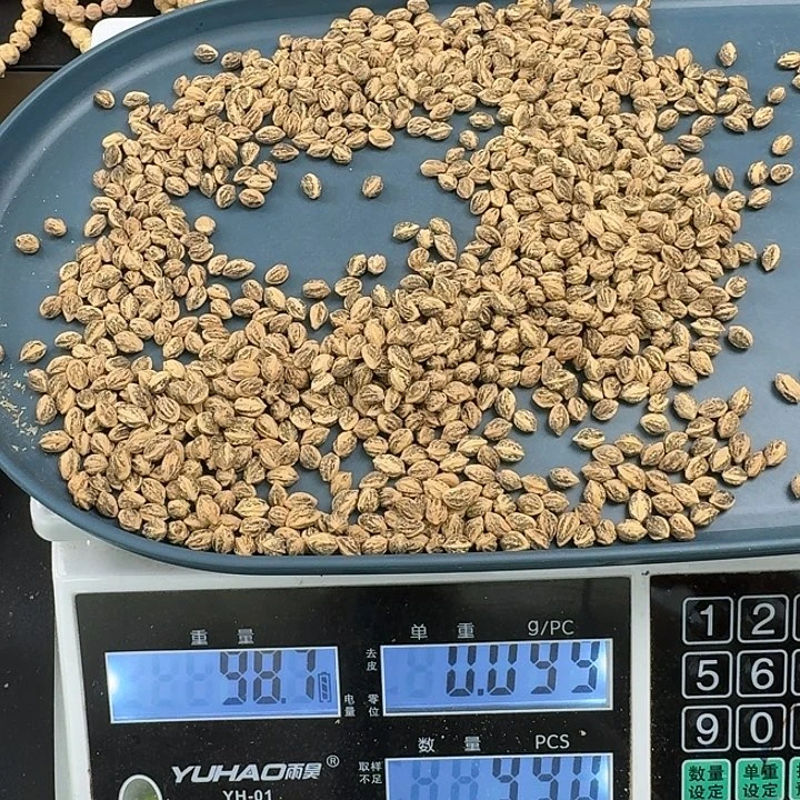 吊坠柏香籽/百香籽6.04号5.5+99克0805