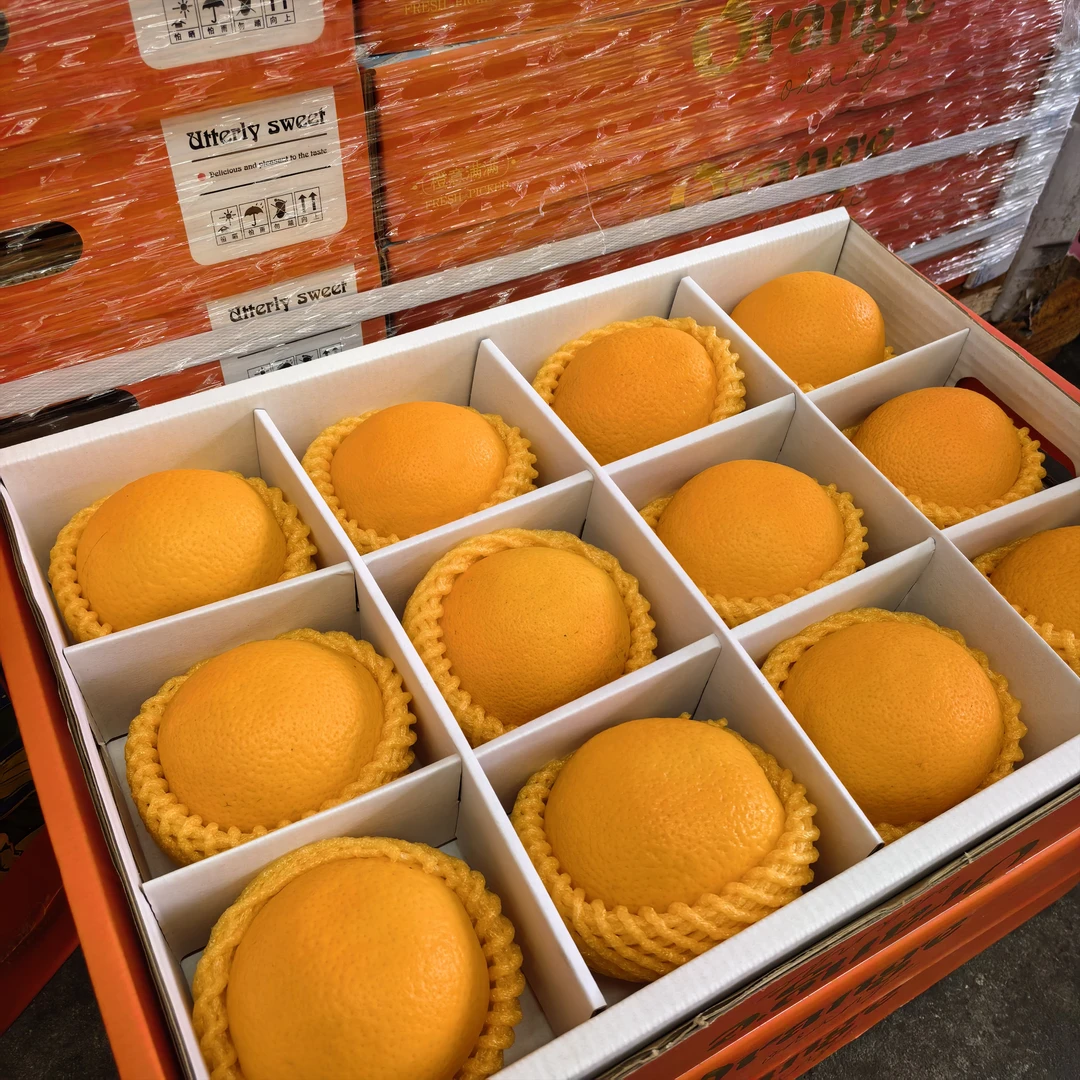 【顺丰次日达】南非橙礼盒 一箱