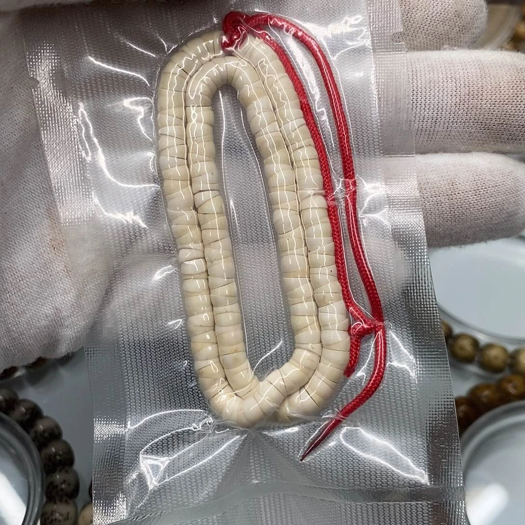 星月菩提手串一物一图原生态同枝无星