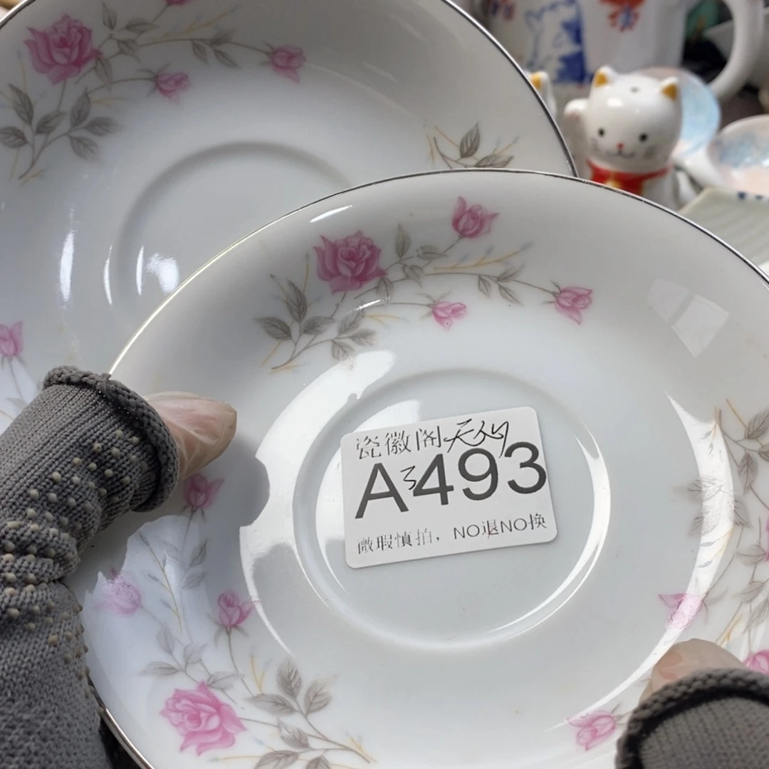 乄***杺瓷片默认微瑕谨慎参拍A493