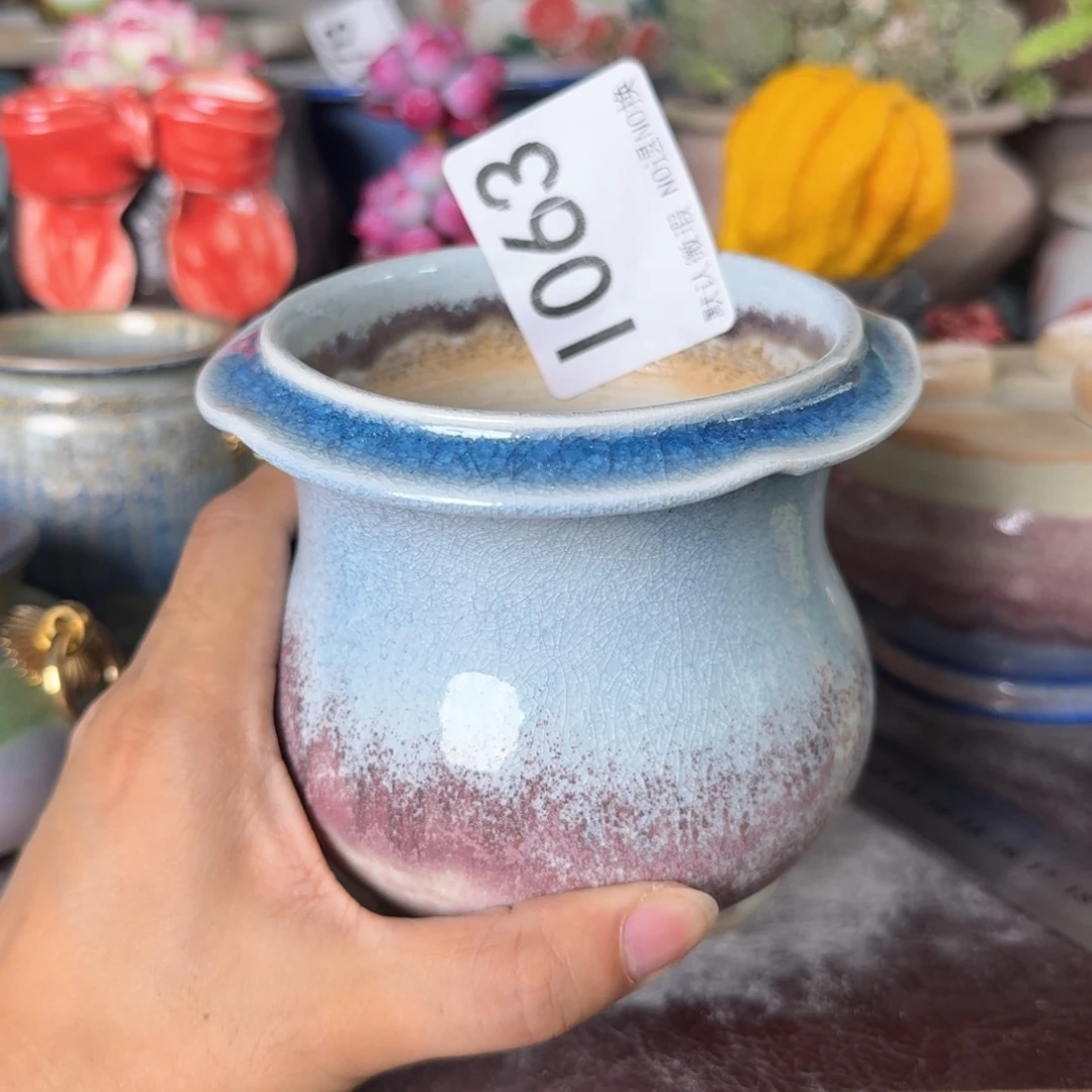 重庆小燕子欢迎大家063
