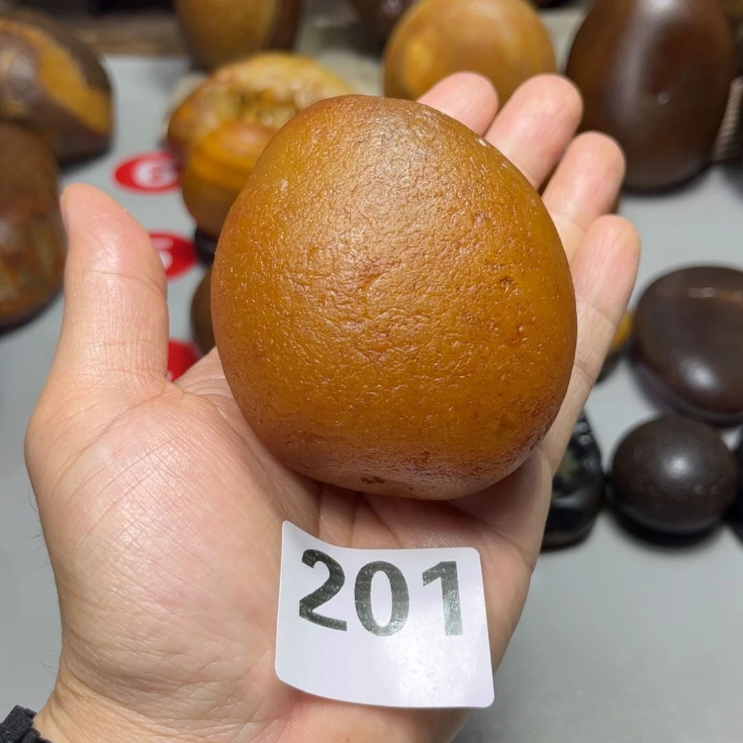 老挝石悦****》马料马料马料