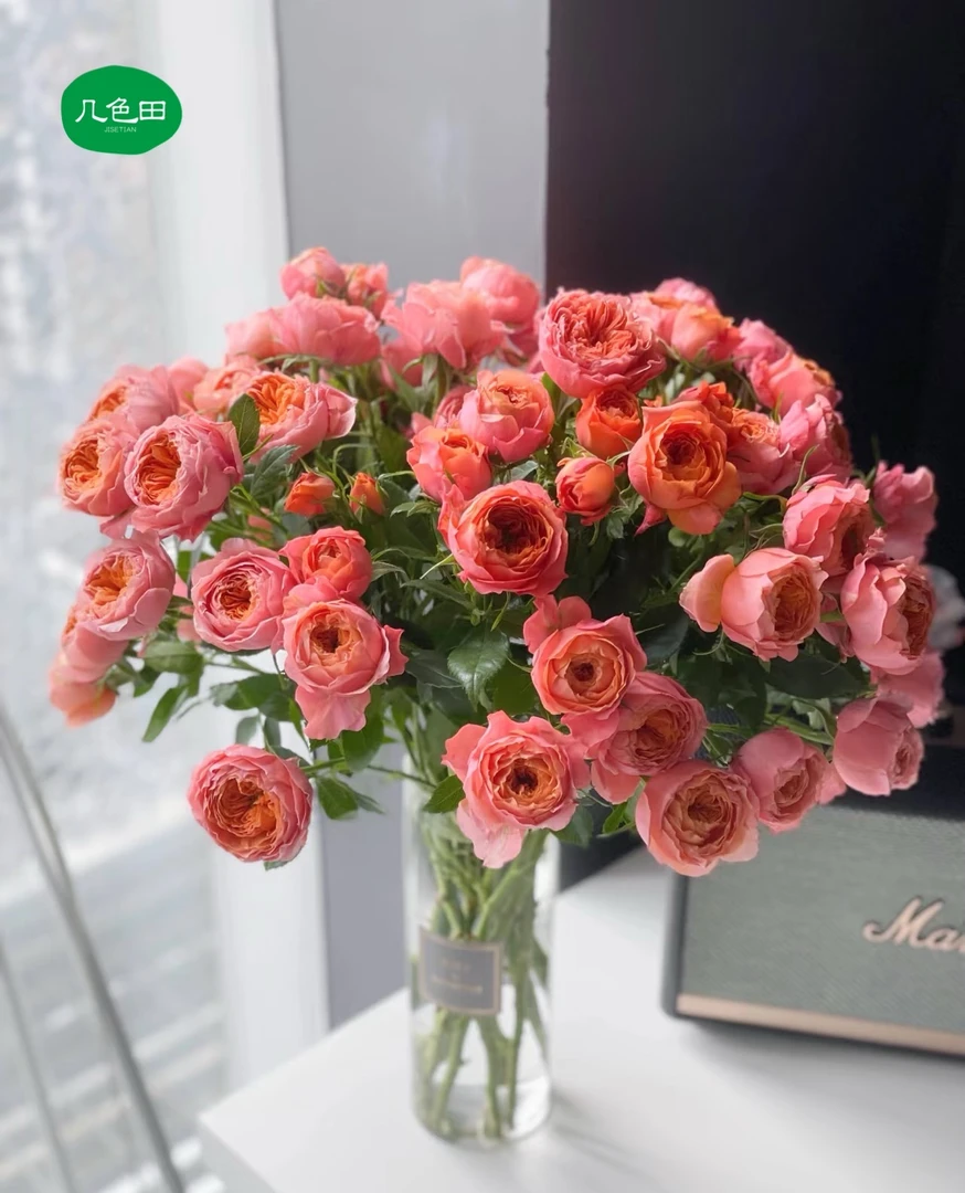 小灵感----多头玫瑰云南直发鲜花云南花插花鲜花