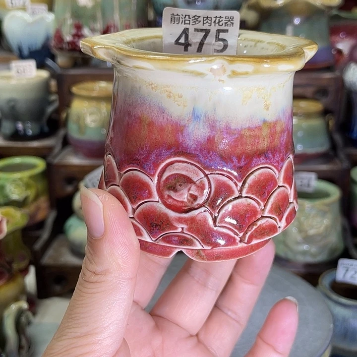 狼盆内口径5高度7