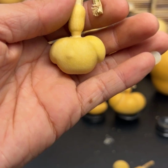 王**?155889999889999998