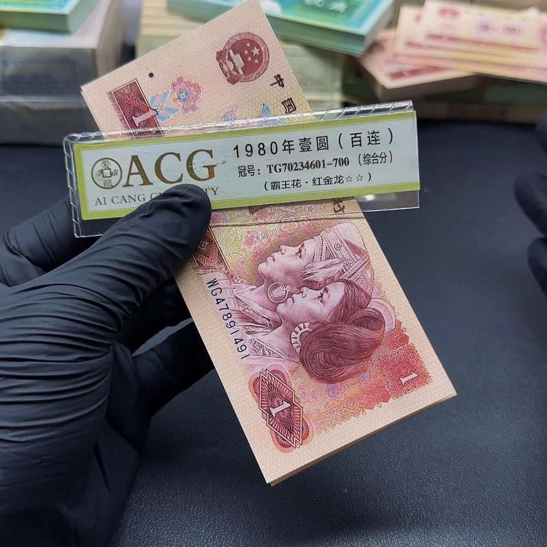 801金龙王全新标十一组。