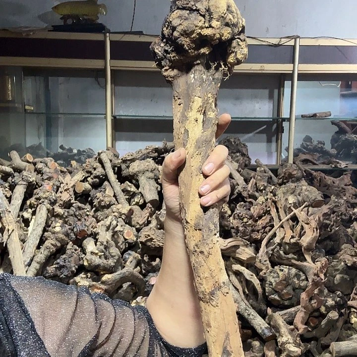 用***6香榧木火琉璃的故事是一