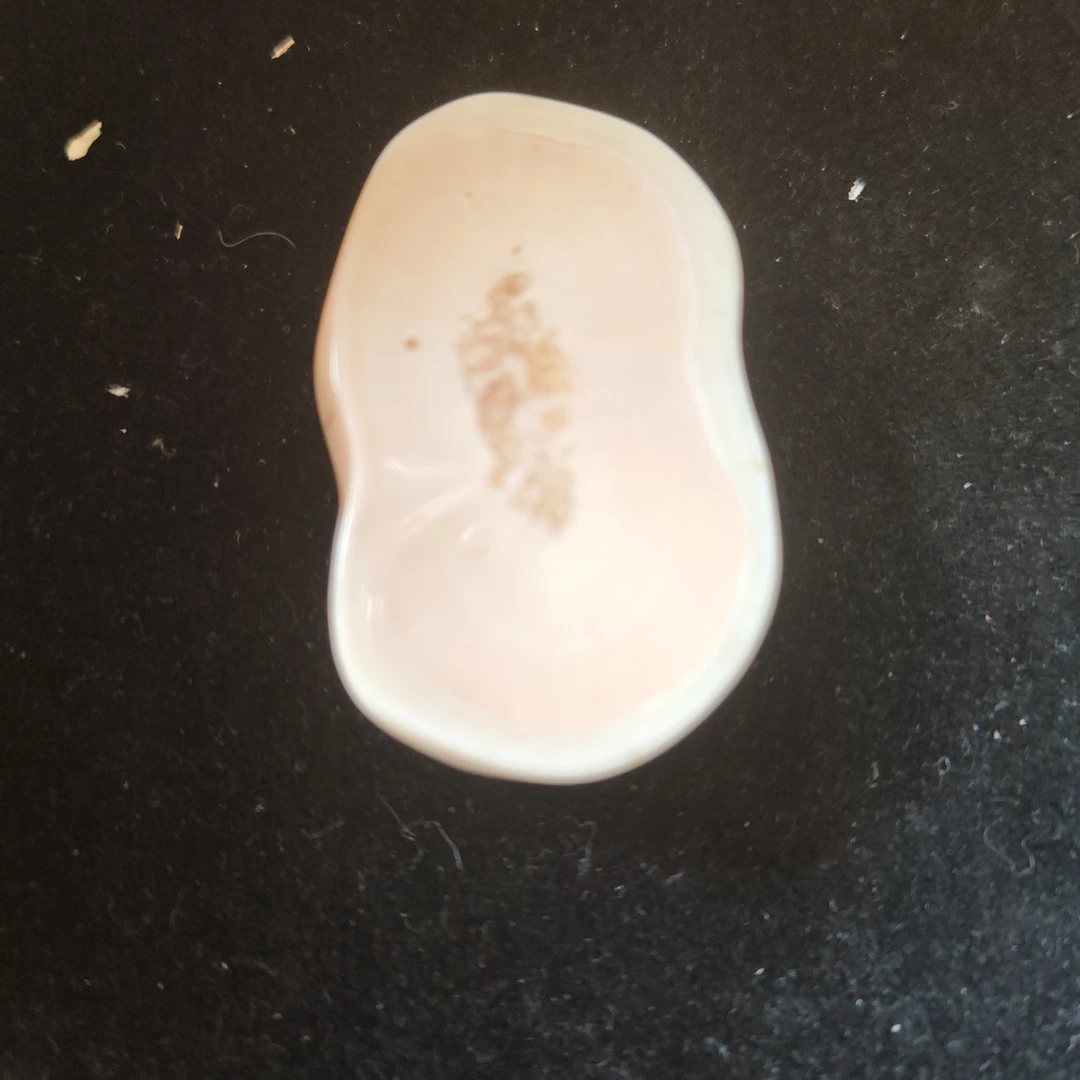 猛犸猛犸虬饼子WW778