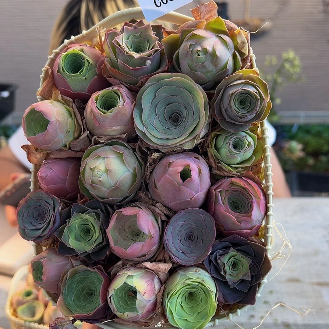 C038。玫瑰混花篮。