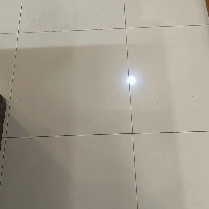 书法安*岭世国世国世国