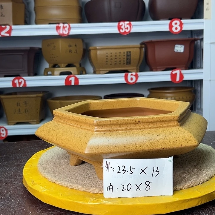 紫砂花盆蛇年大吉