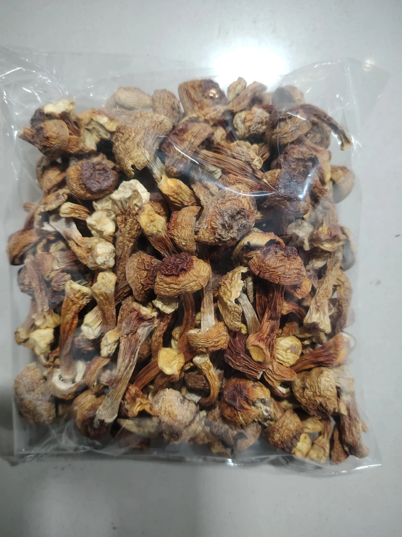 长白山姬松茸干货