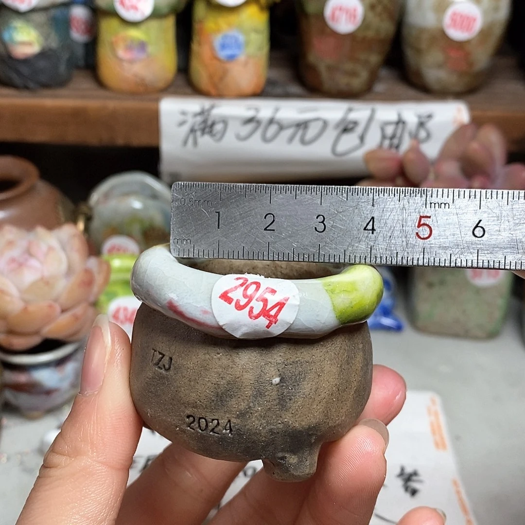 红陶拍5送一个小