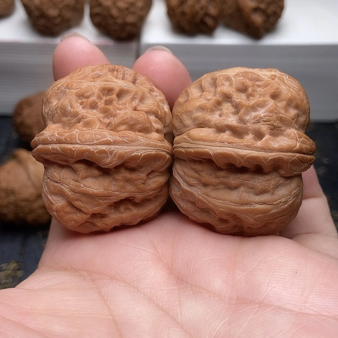 边40，肚42全品元宝狮子头