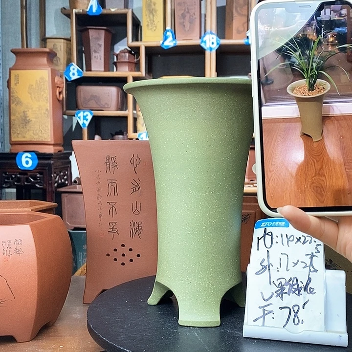 紫砂果绿泥爆款78