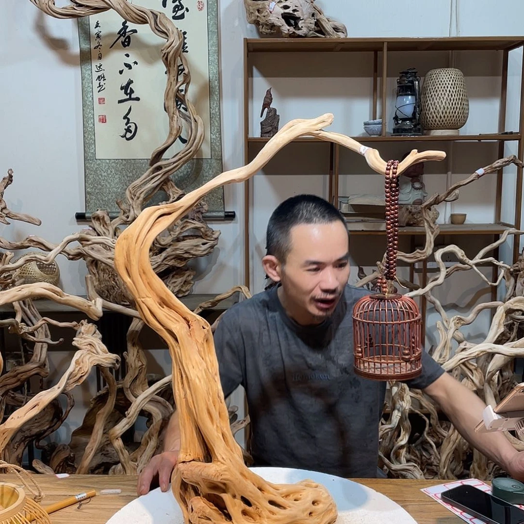 香榧木杜鹃花开三