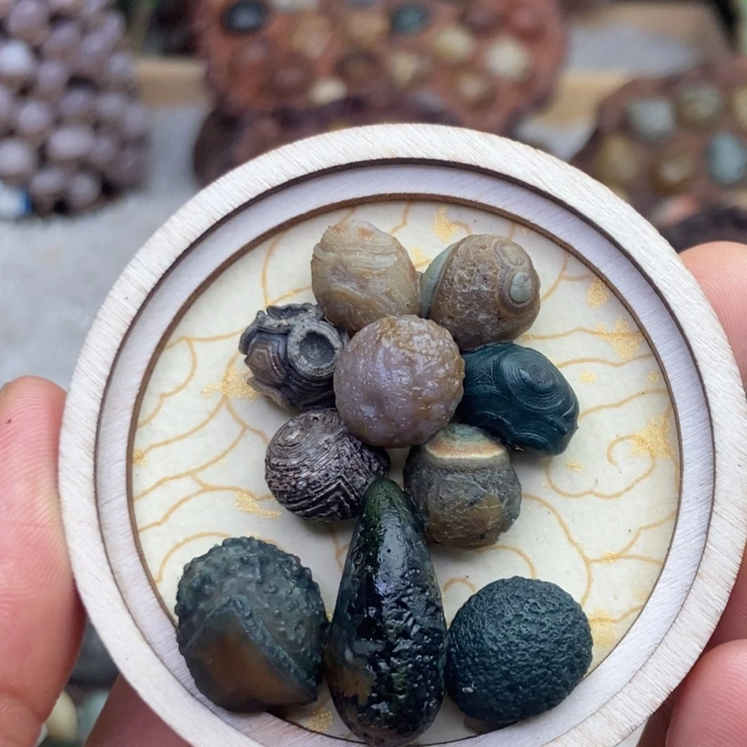 石材木石院子的冰箱贴5