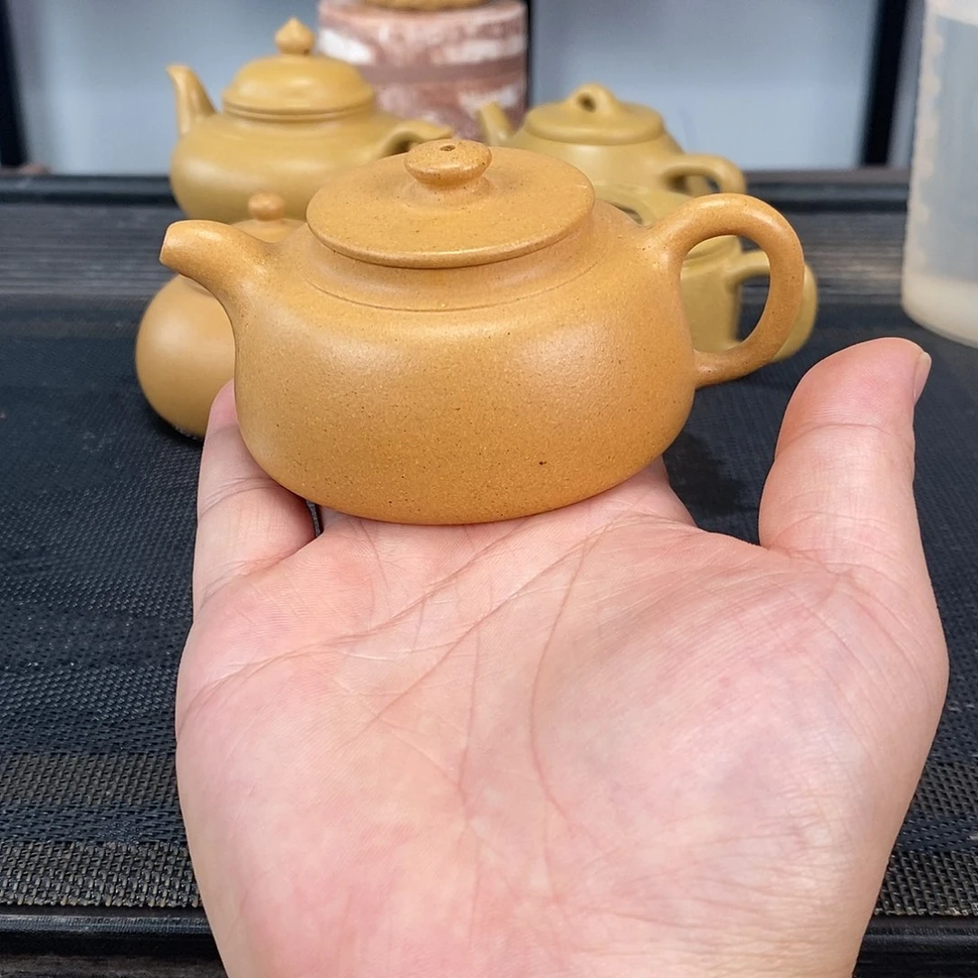 茶壶紫砂黄金段鱼罩容量120毫升