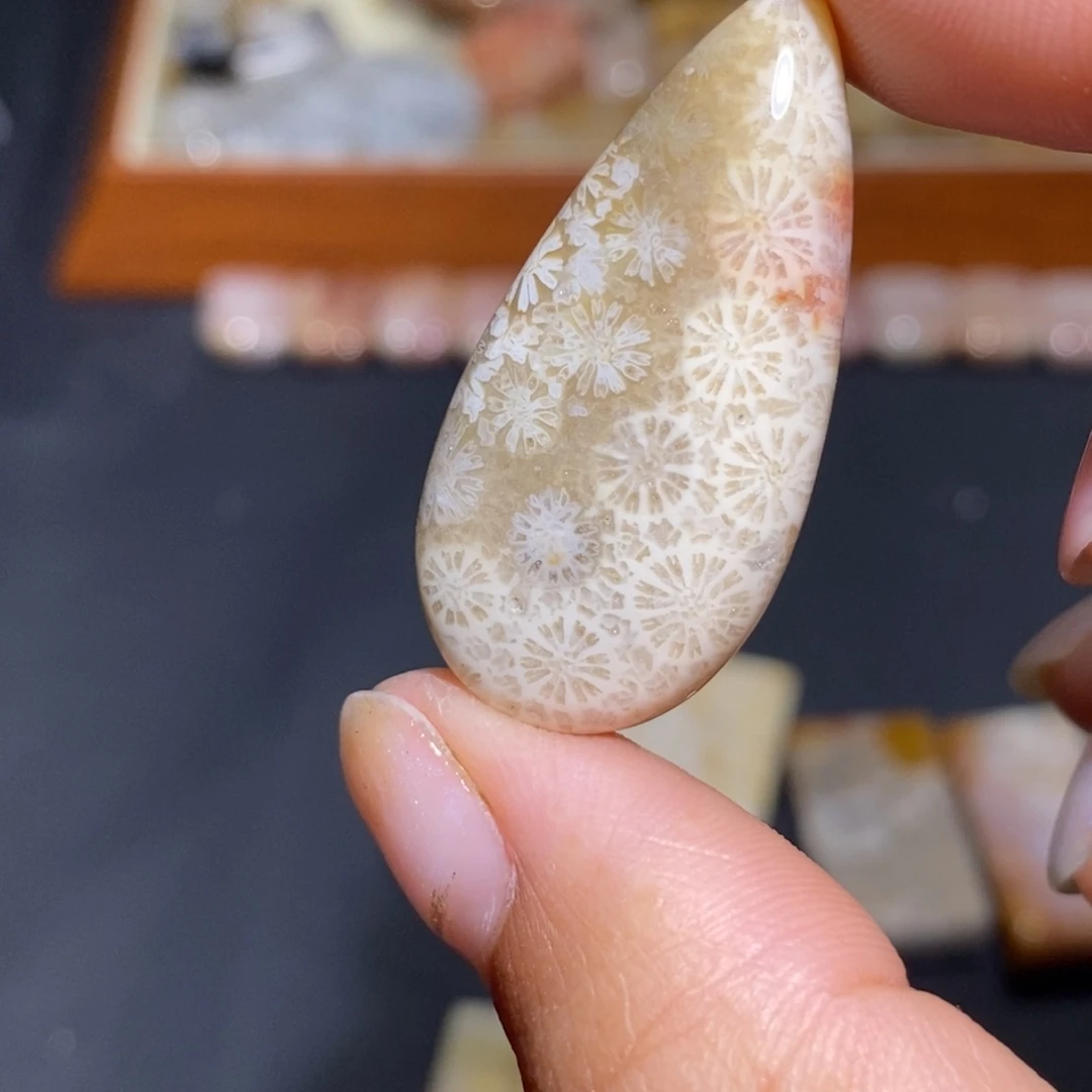 【闪购商品】未镶嵌珊瑚玉硅化玉