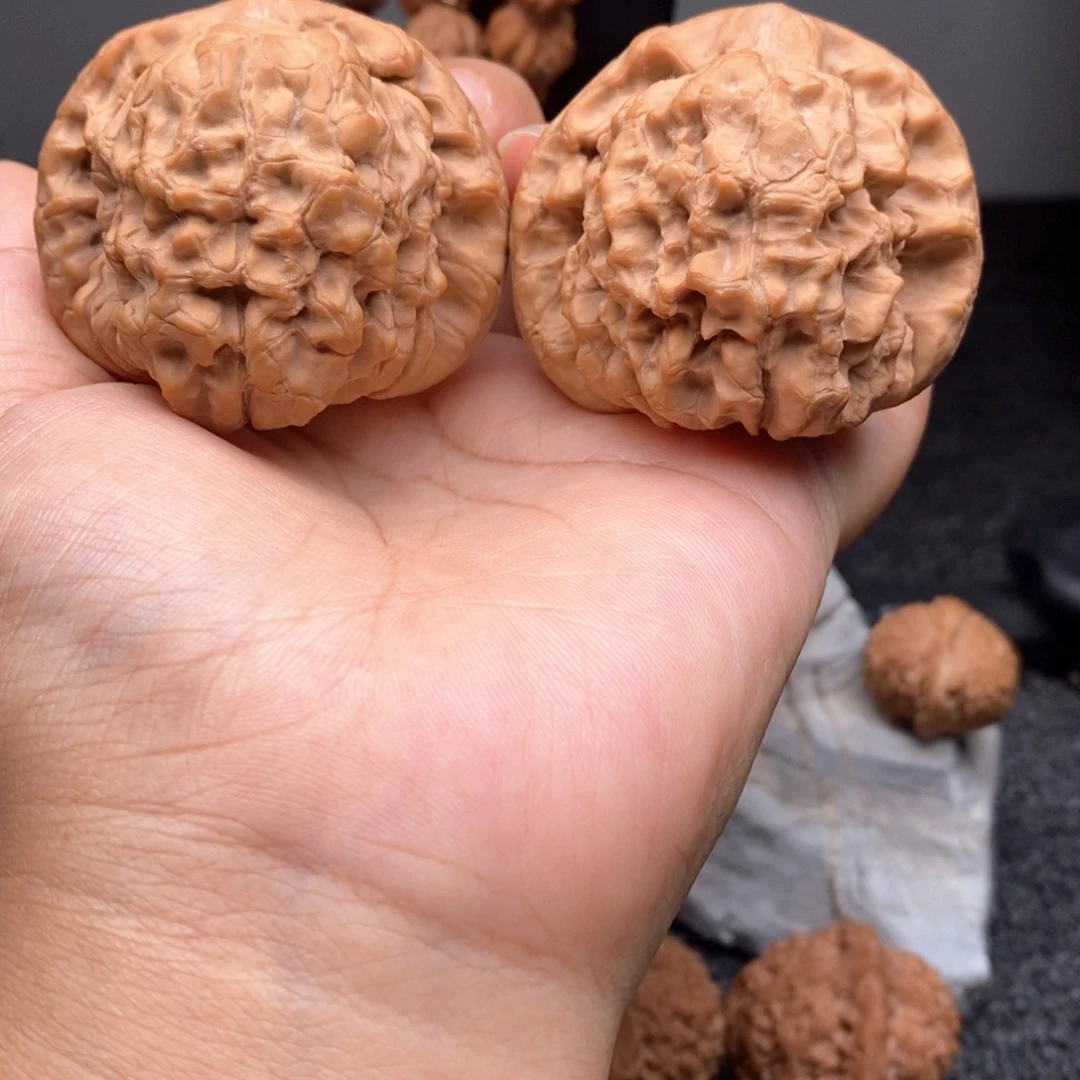把件文玩核桃49龙鼎