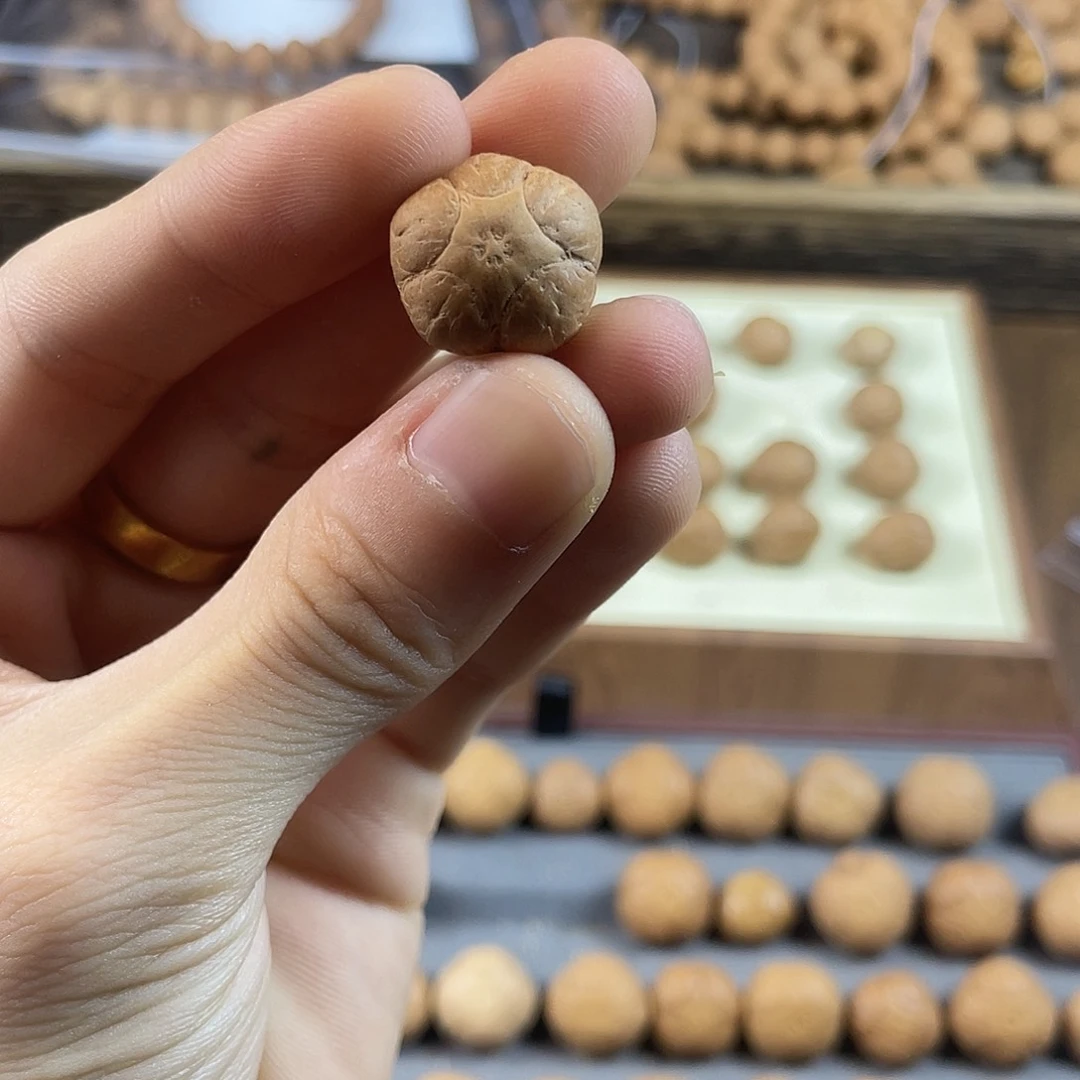 凤眼菩提吊坠狂****店尼泊尔