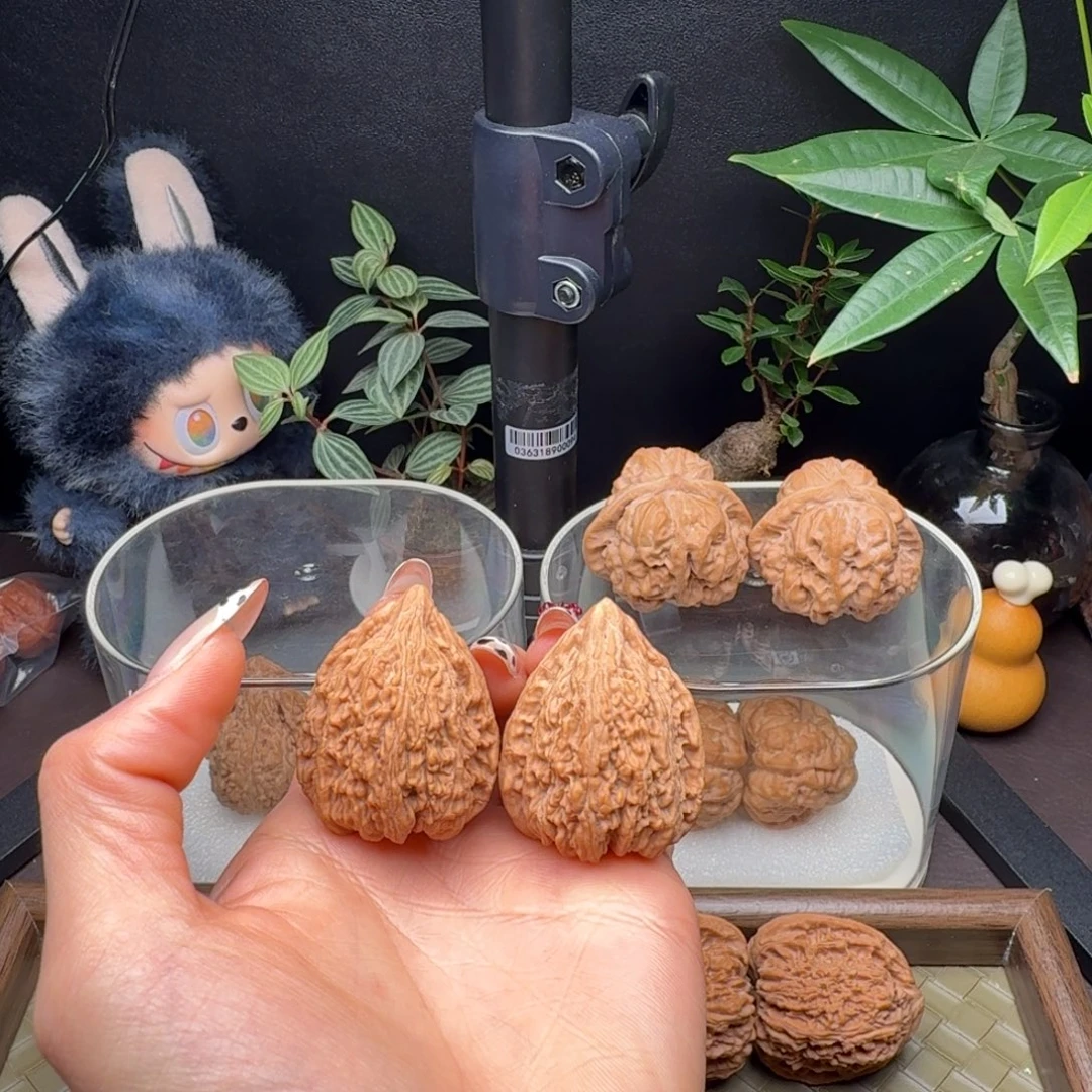 龙脊菩提把件全品塔尖33+