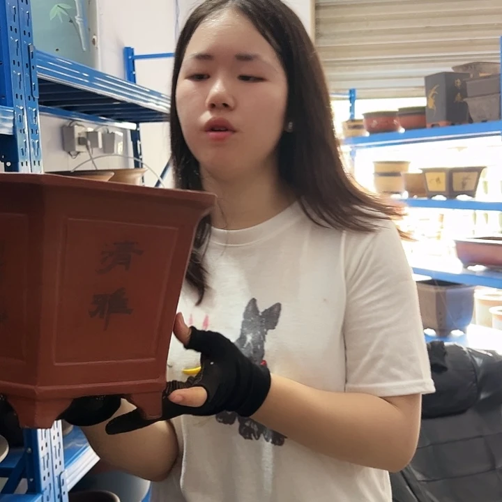 32红清雅六方花盆花盆花盆