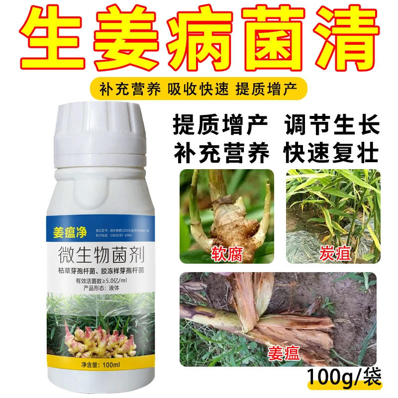 姜瘟净大姜姜瘟茎基腐软腐根腐烂脖子炭疽青枯正品直销微生物菌剂
