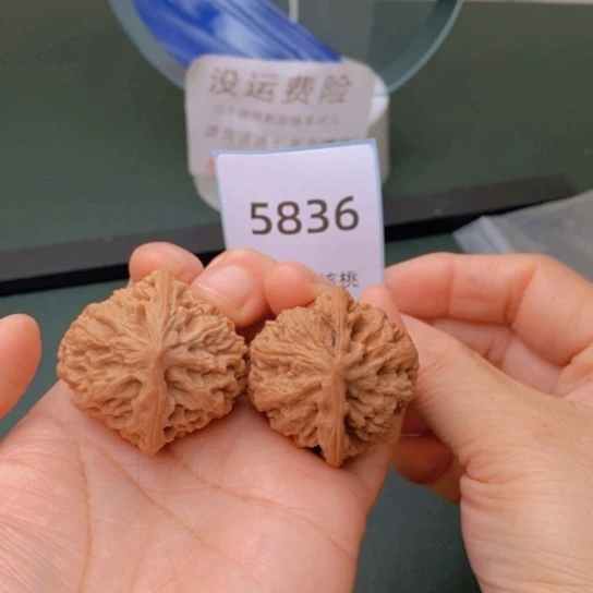 把件文玩核桃37野牛5836