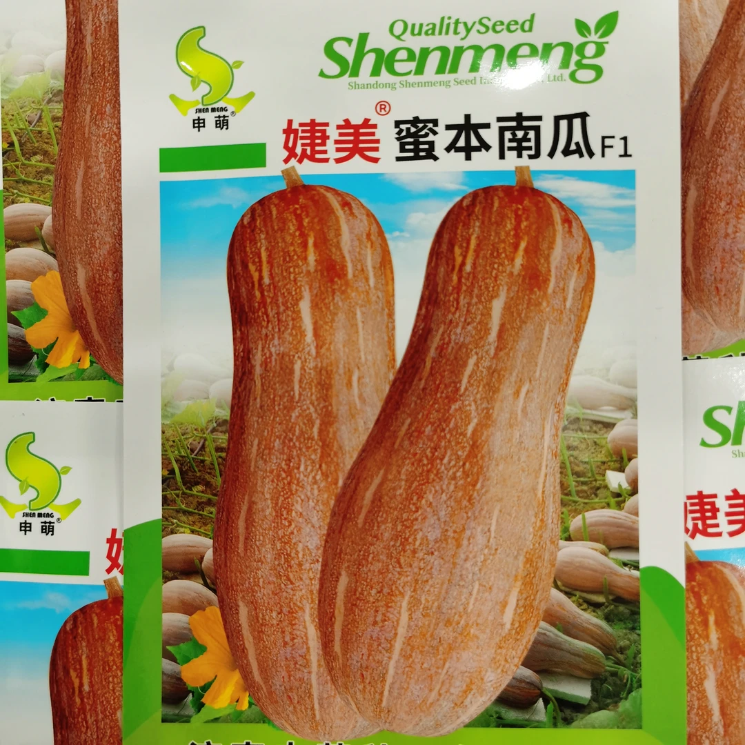 蜜本南瓜杂交种子5克