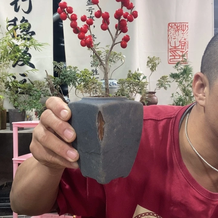 无花朵退款拉黑拉黑127