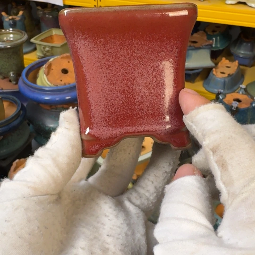 瑕疵盆放漏中瑕疵盆放漏中