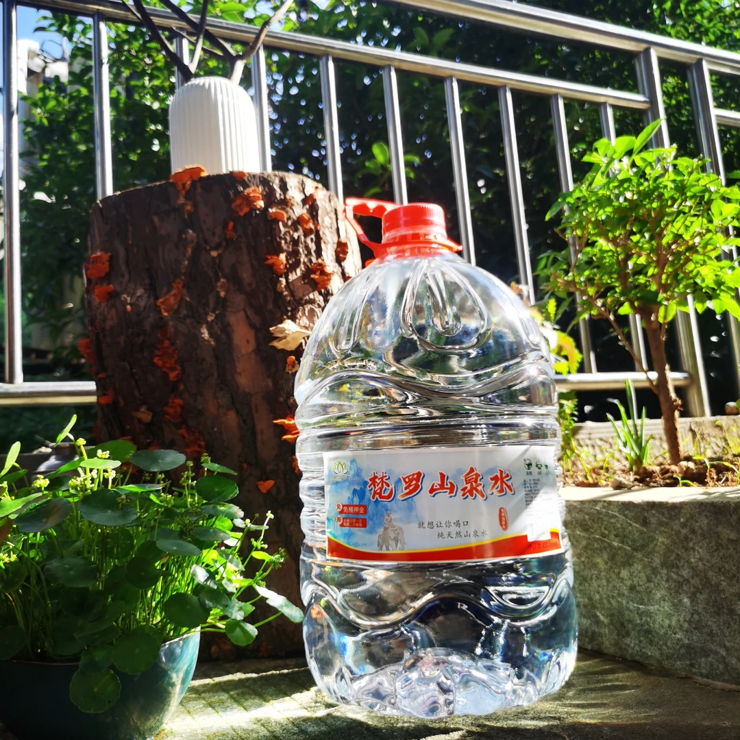【5桶】天然泉水 一次性桶装水 梵罗山泉水15L