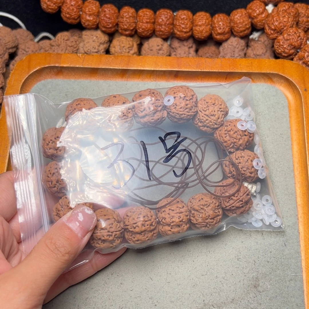 菩提31号金刚菩提满肉梅花23+