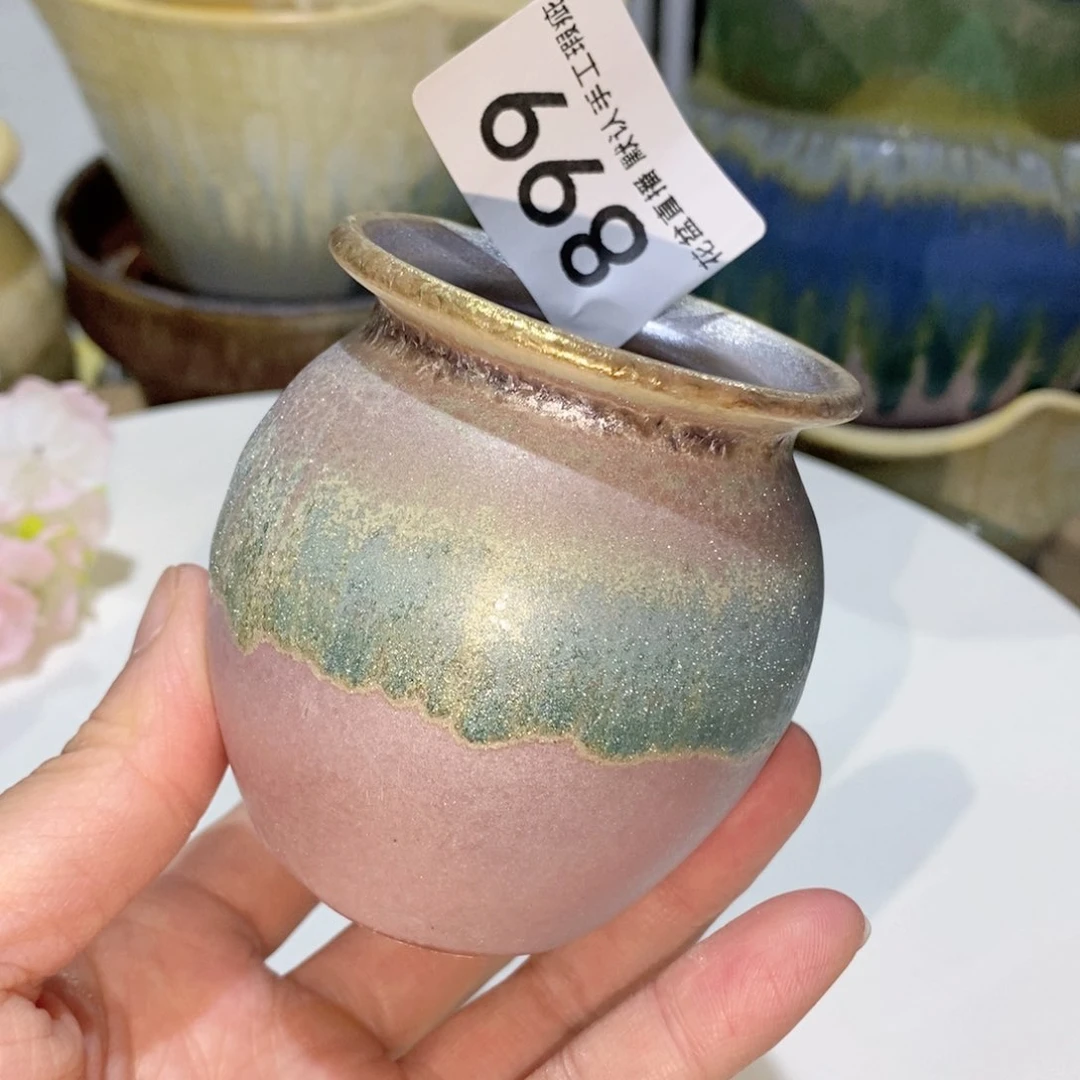 花盆花盆花盆炫彩