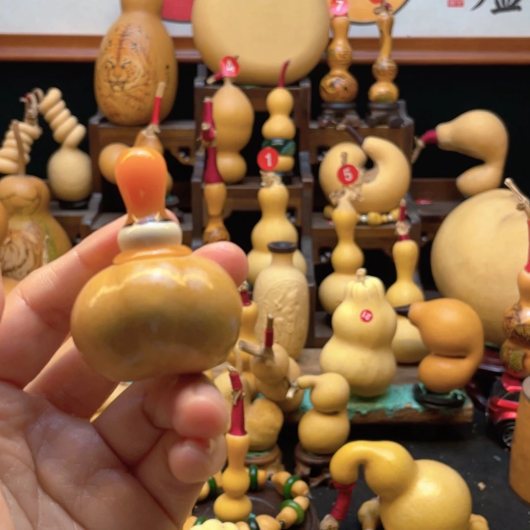 小**?大自然的秘密第十一节课