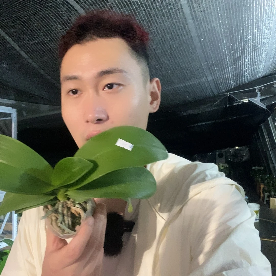无花朵紫与铃铛387