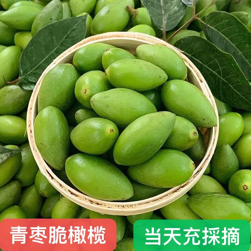 潮汕金灶高山青枣脆橄榄适合生吃 2斤装