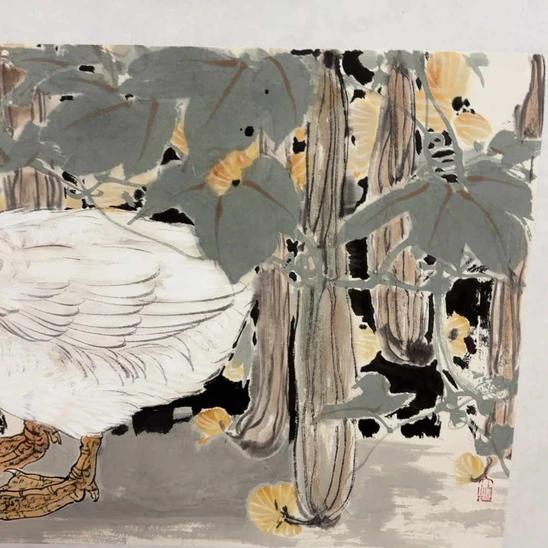 不***鸟国画陈老师花鸟作品