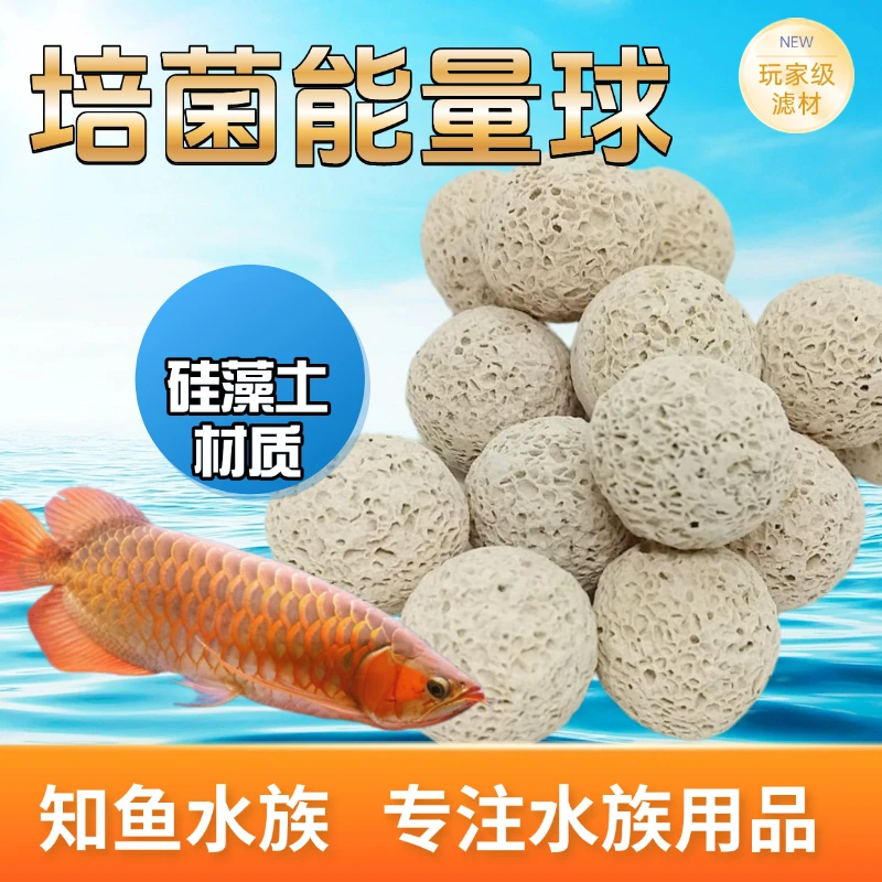 【硅藻土球】轻质滤材硅藻土生物培菌能量球净水周转箱底滤鱼缸滤材