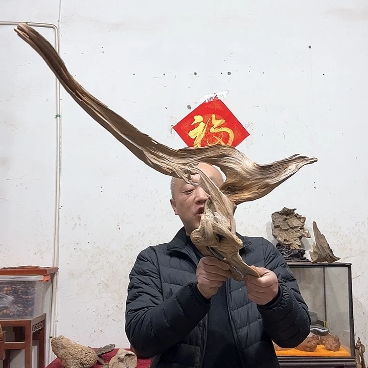 柏木用****1我们的生活也是