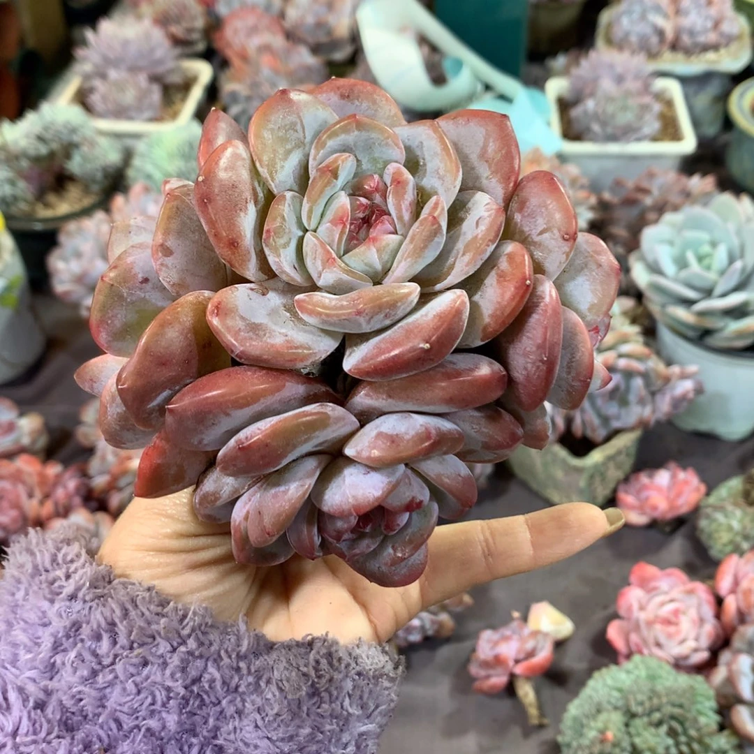 哈哈哈哈哈哈哈哈哈哈