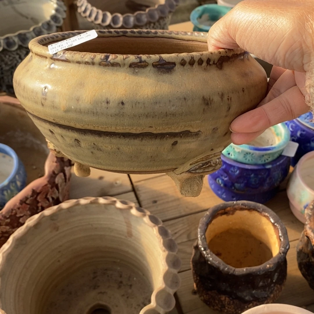 雨***u43号多肉盆口径15