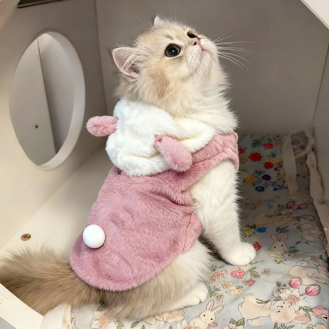 猫咪衣服秋冬季ins风可爱小熊两脚绒衣加厚保暖冬天泰迪狗狗衣服