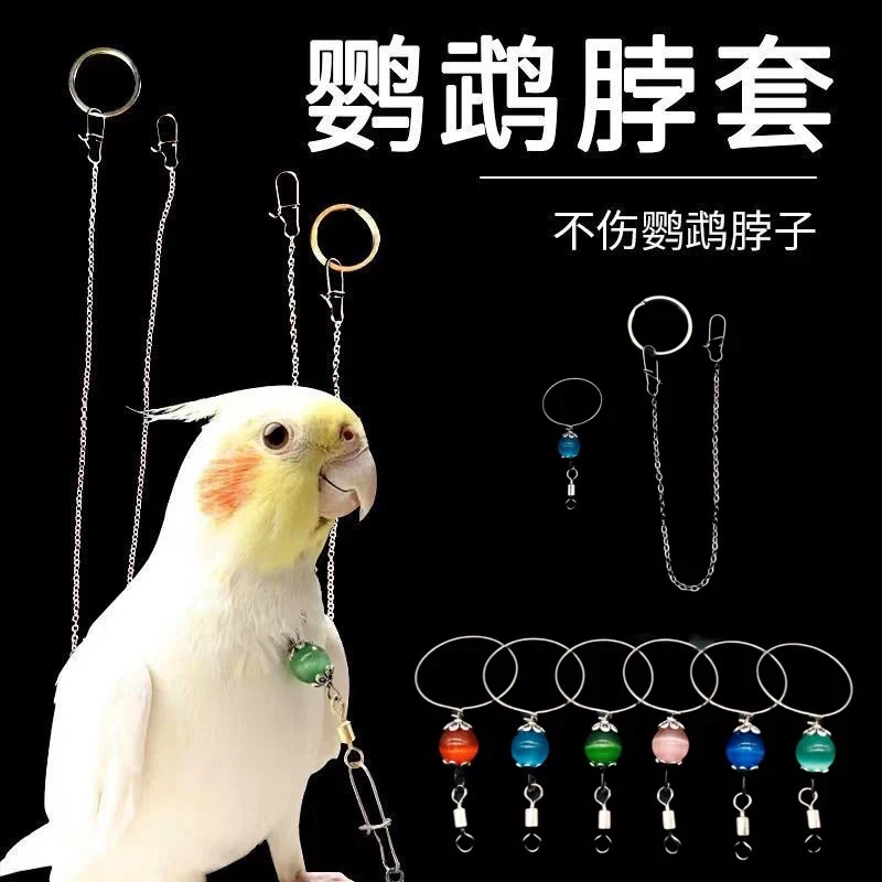 鹦鹉脖套猫眼石遛鸟放飞鹦鹉鸟脖圈不锈钢链虎皮牡丹玄凤小太阳等