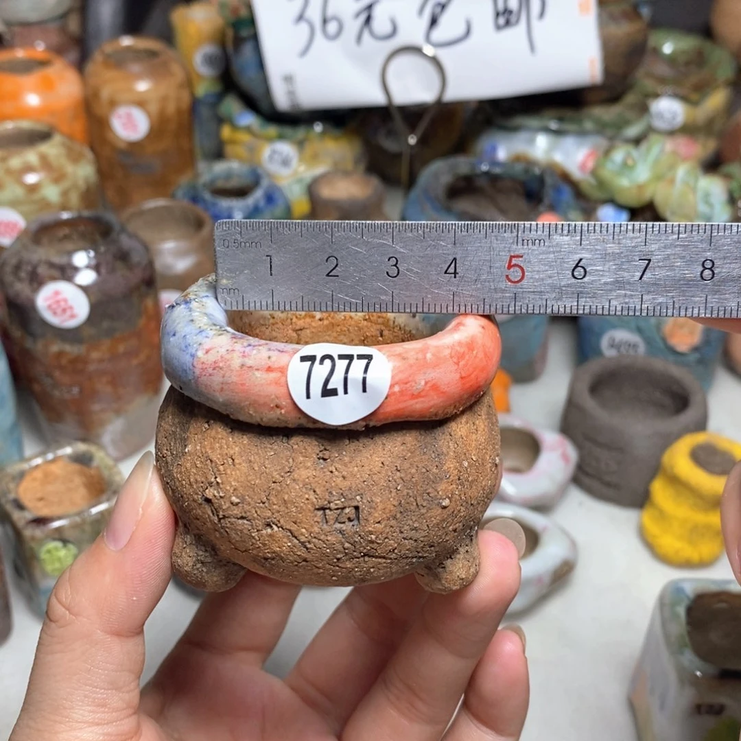 拍3送一个小礼物