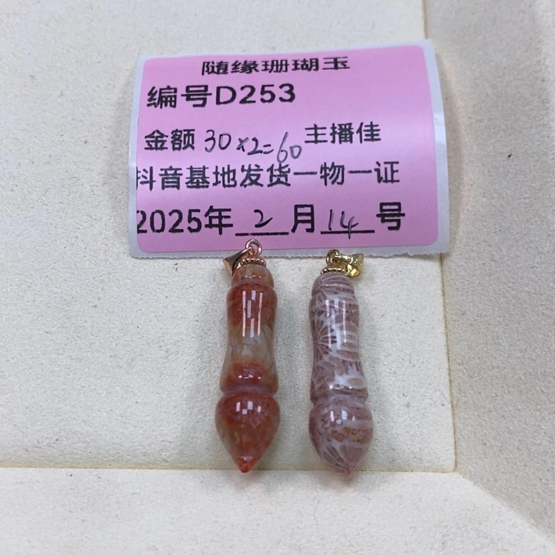 硅化珊瑚（珊瑚玉）D253未镶嵌诺*