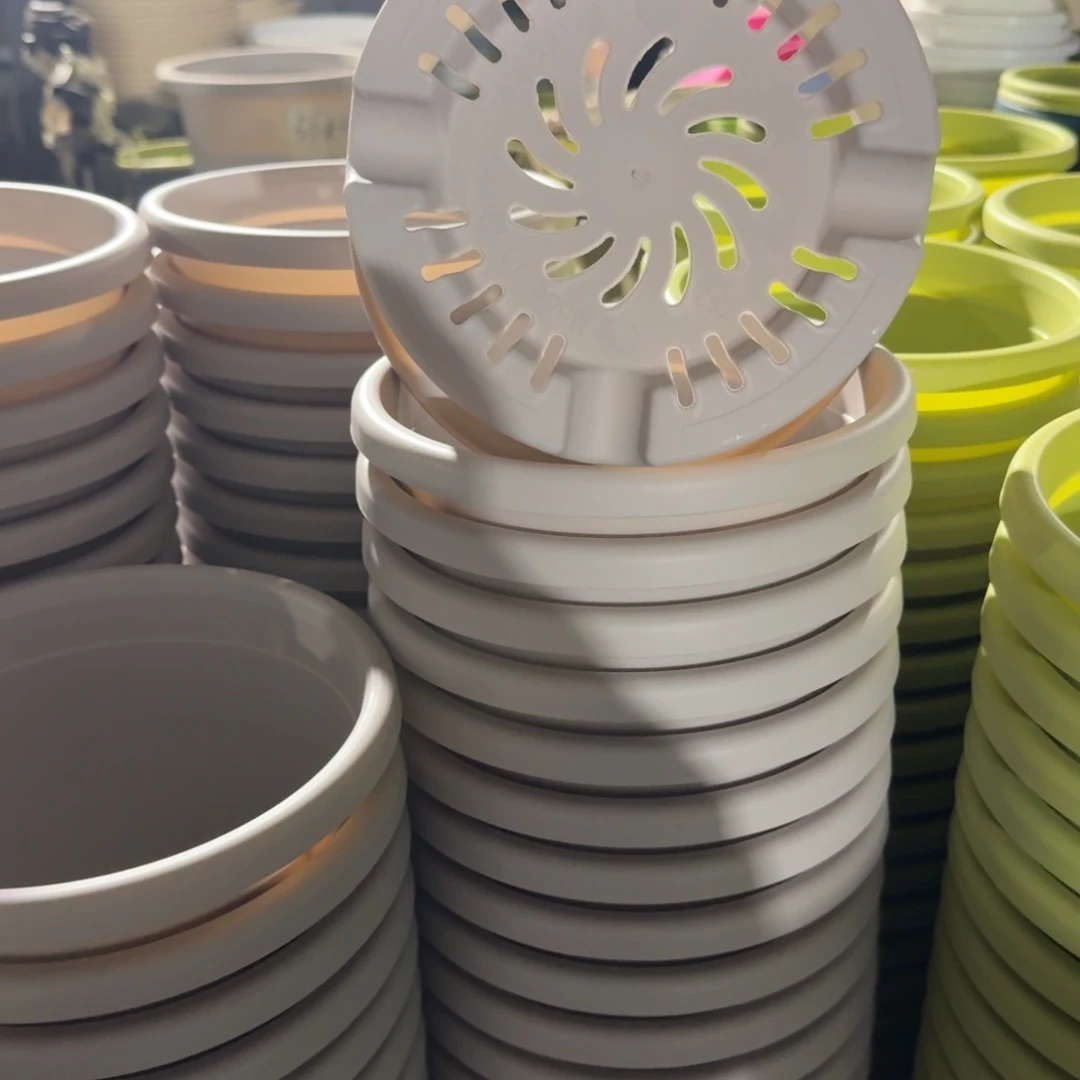 四季3号15个灰白色的