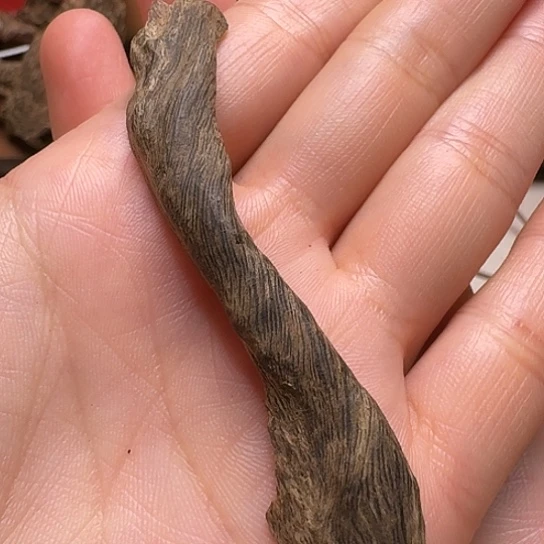 静水莱特莱特莱特莱特