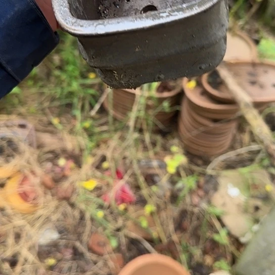 是的呀哈哈是这样哈哈好开心